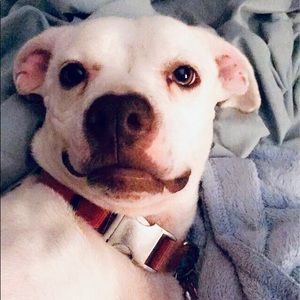 Meet your Posher, Tiffan